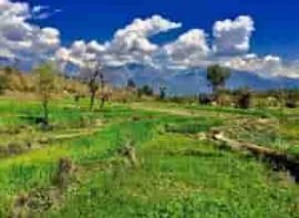 Dehra