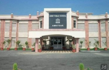 Army Public School