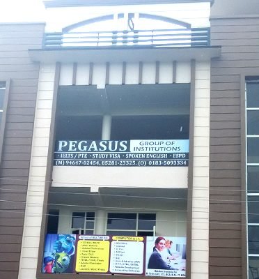 Pegasus Institute