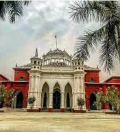 DAV College