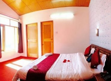 Hotel Alpine manali