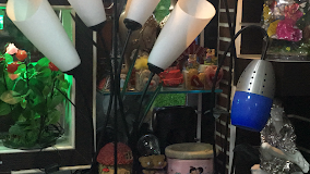 Adarsh Gift Gallery