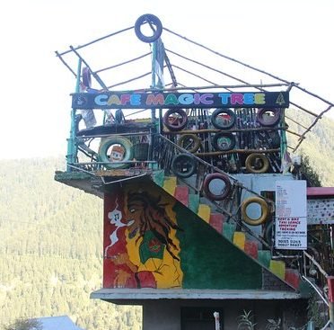 Magic Tree Cafe Dalhousie