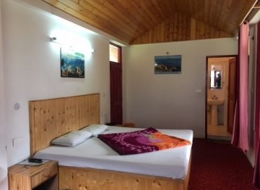 Hotel Seraj International, Manali