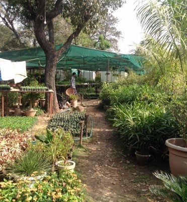 Trigart Flower Nursery