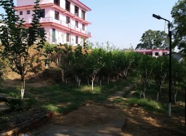 Bittu Guest House