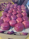 NVO Apple Agency Maraog