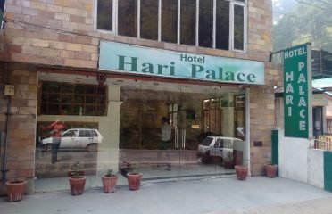 OYO Flagship 22806 Hari Palace