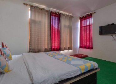 Hotel Partap Palace