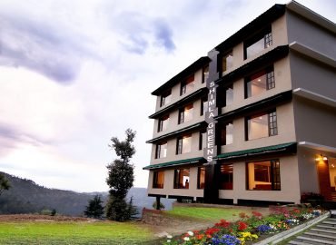 Shimla Greens