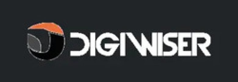 The Digiwiser