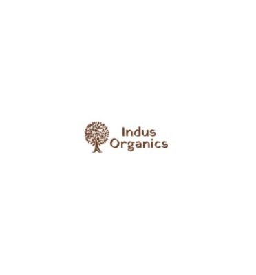 Himalayan Pure Shilajit Resin 25gm – Indus Organics