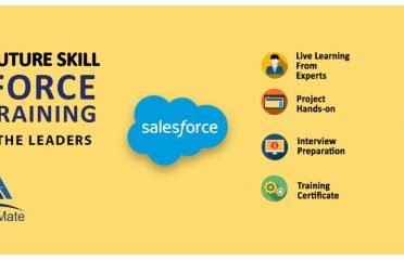 AlmaMate Info Tech – Best Salesforce Training in Noida