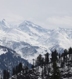 Mulberry Resorts | Best Hotel in Manali