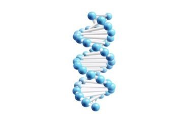 High Grade Peptides
