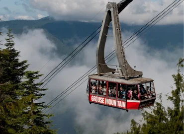 Manali Snow View Cabs
