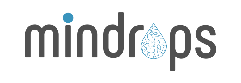 Mindrops – Web and Mobile App Development Company