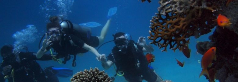 https://www.seawatersports.com/activities/5-stars-rated-scuba-diving-and-water-sports-at-chivla-beach