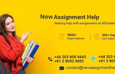 New Assignment Help