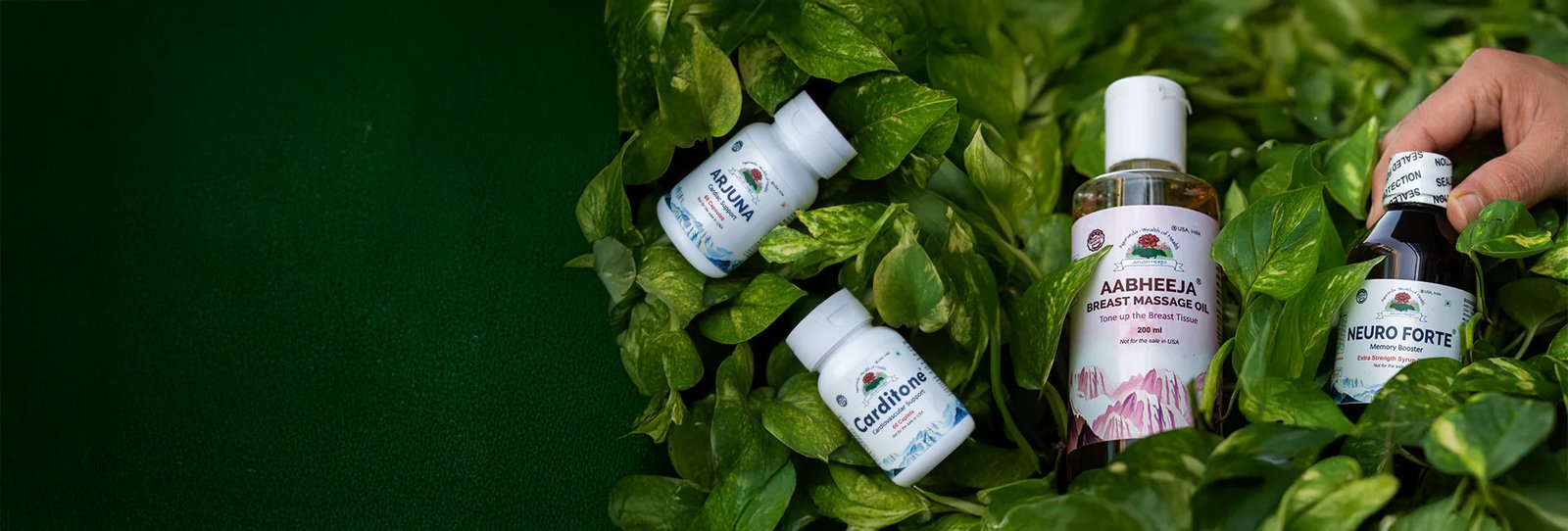 Ayush Herbs