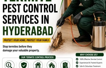 Termite Pest Control Services in Hyderabad – NHN Trees Cutting Hyderabad