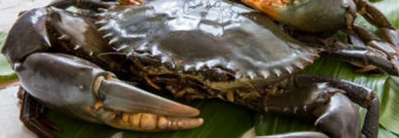 astroaquaculture
