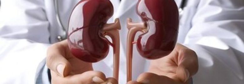 Kapoor's Kidney & Urostone Centre Pvt. Ltd.